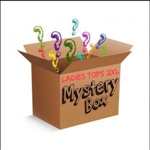 Mystery Box - Ladies Tops 2XL (Surprise Bundle)
